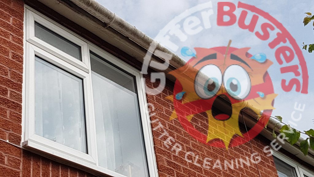 Gutter Cleaning in Westbury Shirehampton and Hallen
